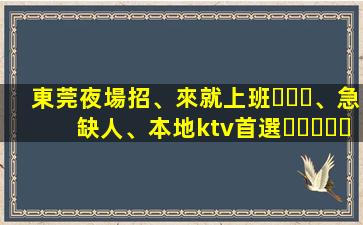 東莞夜場招、來就上班、急缺人、本地ktv首選、就等你